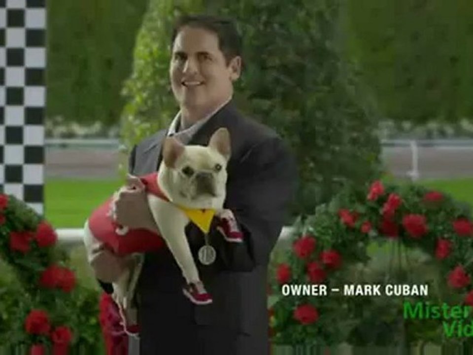 Perros de raza