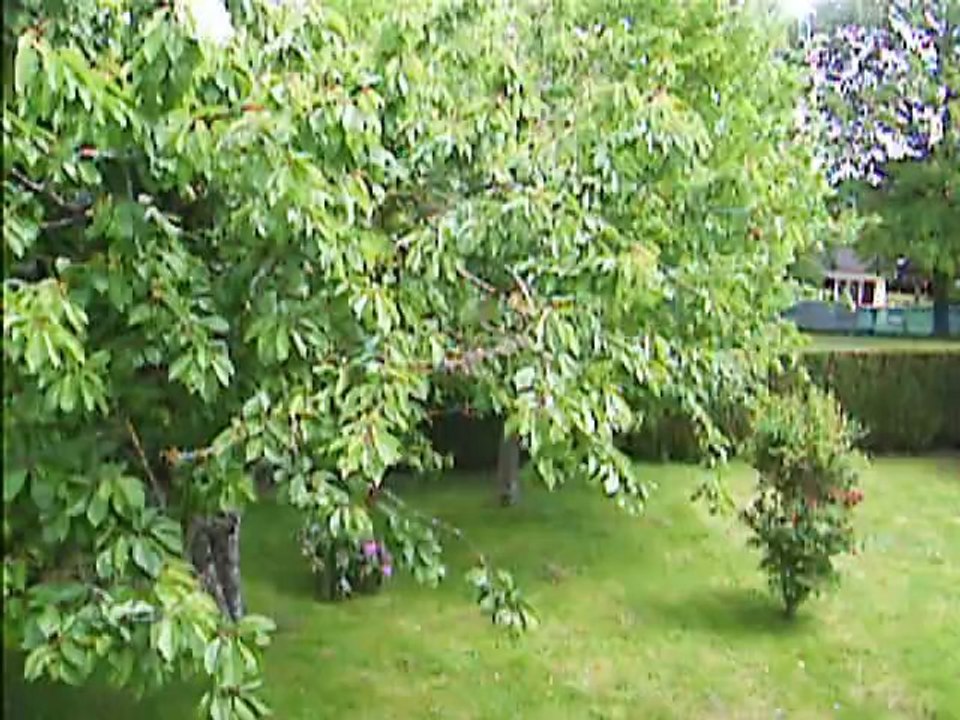 du vent,du vent!!!!!!!