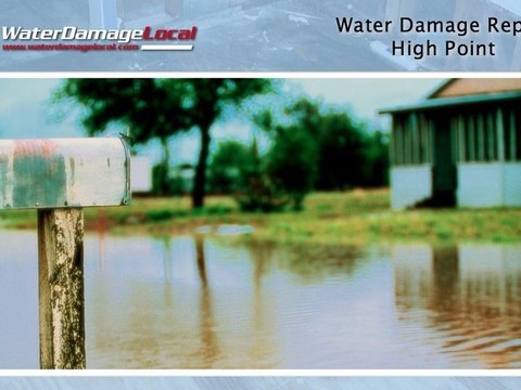 High Point Water Damage Repair –– Goodbye to Black Mold & Mildew