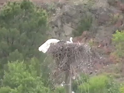 Çorum Kargı Saraycık köyü baraj