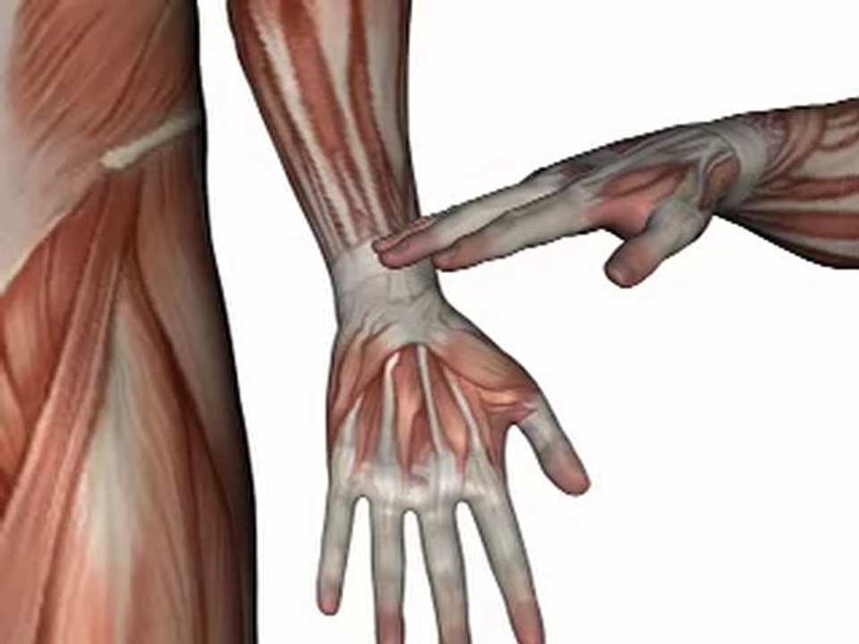 Orthopedic Test - TINNEL TEST