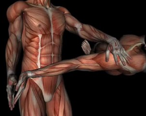 Orthopedic Test - UPPER LIMB TENSION TEST #3