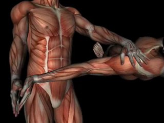 Orthopedic Test - UPPER LIMB TENSION TEST #1