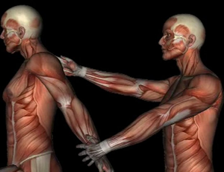 Orthopedic Test HALSTEAD MANEUVER TEST video Dailymotion