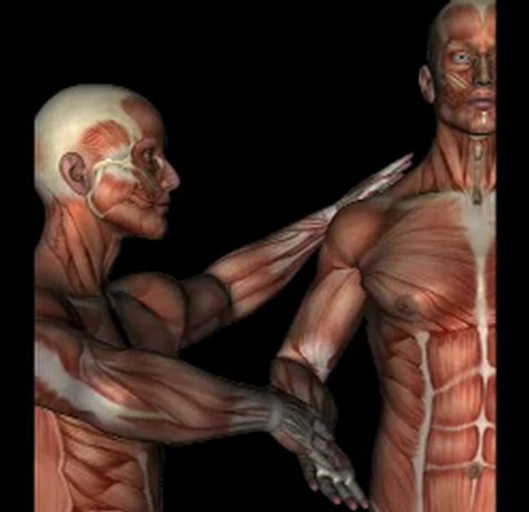 Orthopedic Test - YURGASON'S TEST