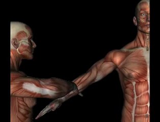 Orthopedic Test: How to Perform the Speed's Test for Shoulder Assessment 🩺