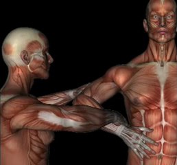 Orthopedic Test - HAWKINS / KENNEDY TEST