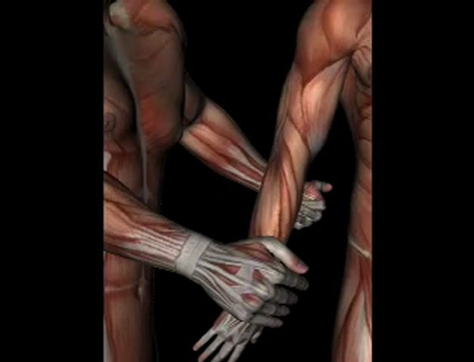Orthopedic Test - MILL'S TEST