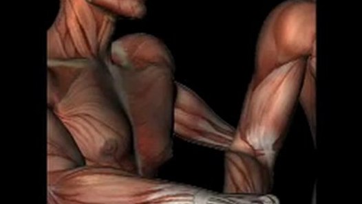 Orthopedic Test - COZEN'S TEST - video dailymotion