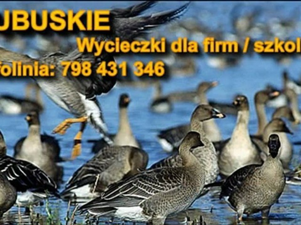 Wycieczki dla firm / wycieczka szkolna  - Lubuskie Tour