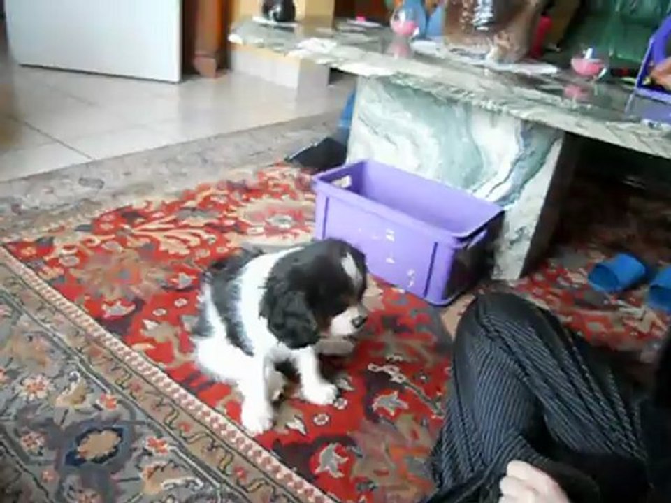 Ma 1ère leçon "Assis