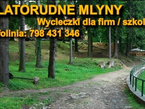 Wycieczki dla firm / wycieczka szkolna - Zlatorudne Młyny - Racibórz