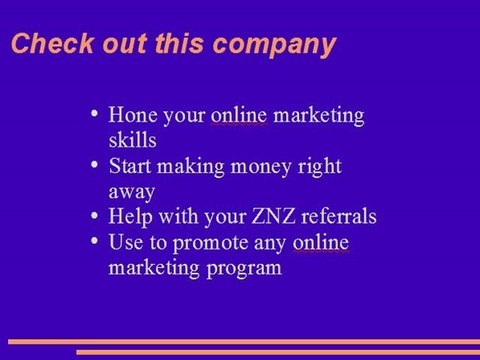 ZNZ Zip Nada Zilch Information and Online Marketing Assistance