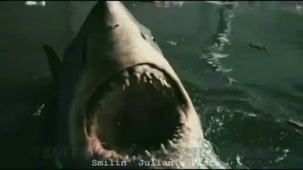 Bait 3D (Kimble Rendall, Australia, 2012) - Official Trailer