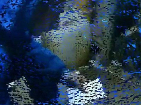 extrait du clip l'echec N.S feat morgan o mic toulouse - sollies pont