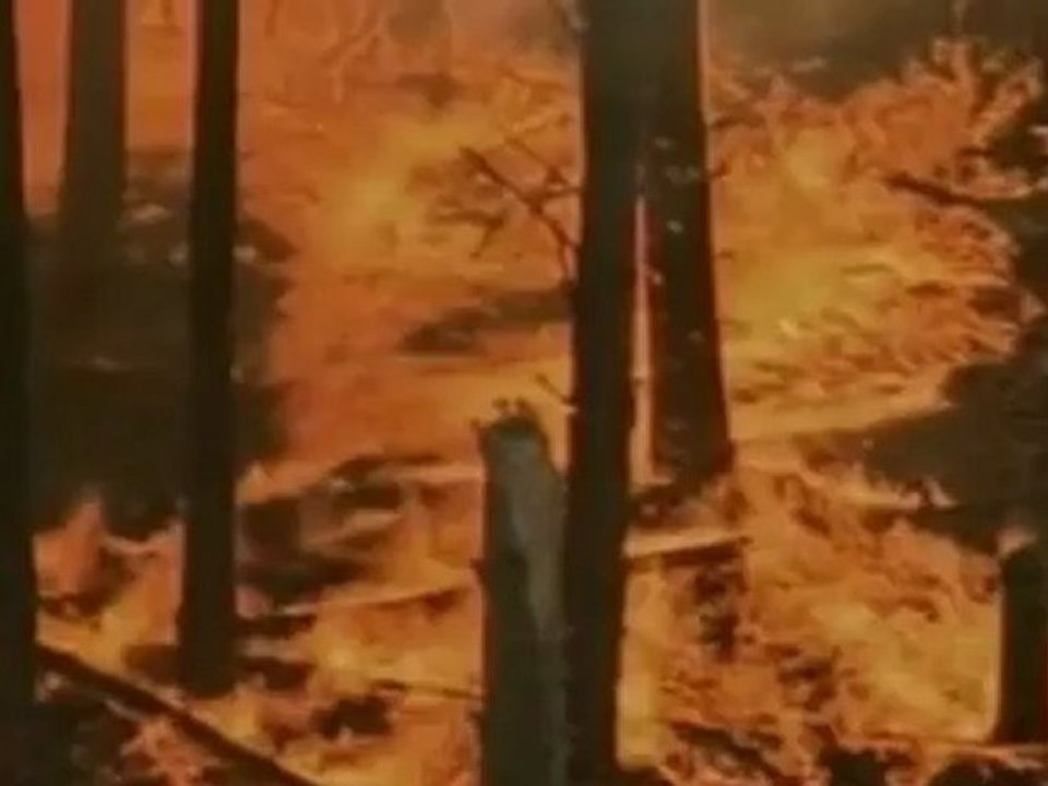 Flames Blaze through Arizona Scorching Thousands of Acres