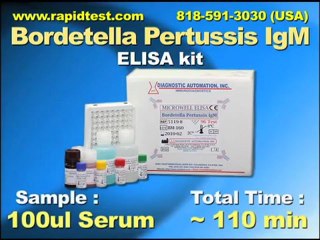 Bordetella IgM ELISA kit