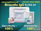 Brucella IgG ELISA kit