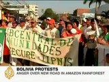 Bolivian indigenous activists protest new road in Amazon rainforest