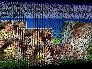 Infertility Statistics