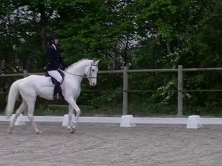 Snow : dressage Hautefeuille 04 2012