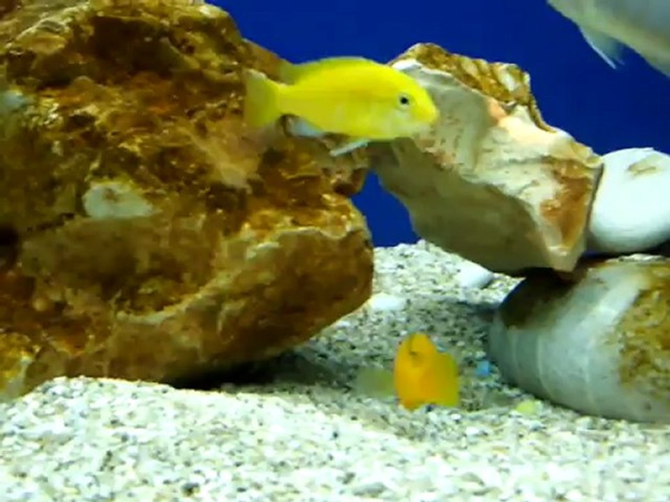 DSCF0389