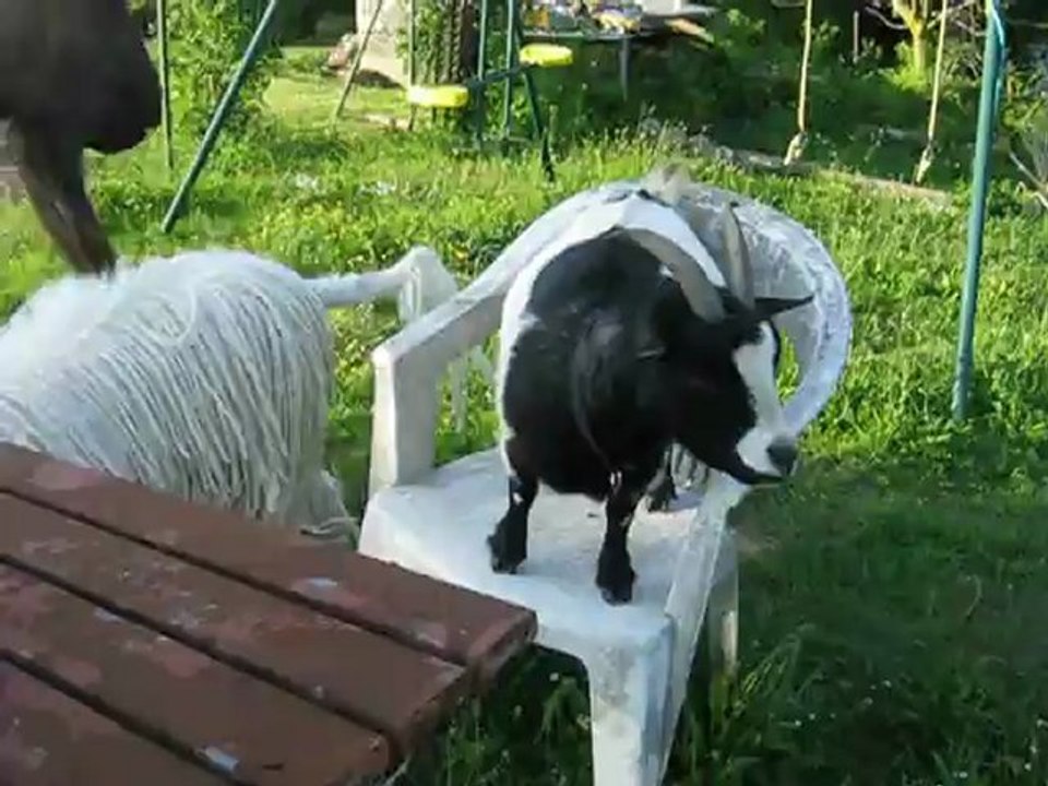 Une journee au soleil 1