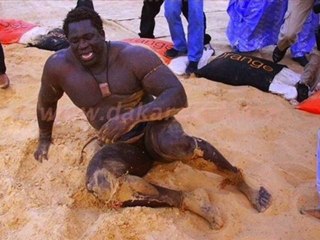 Dembilamb.net Lutte Revue de presse français du 8 au 14 Mai 2012