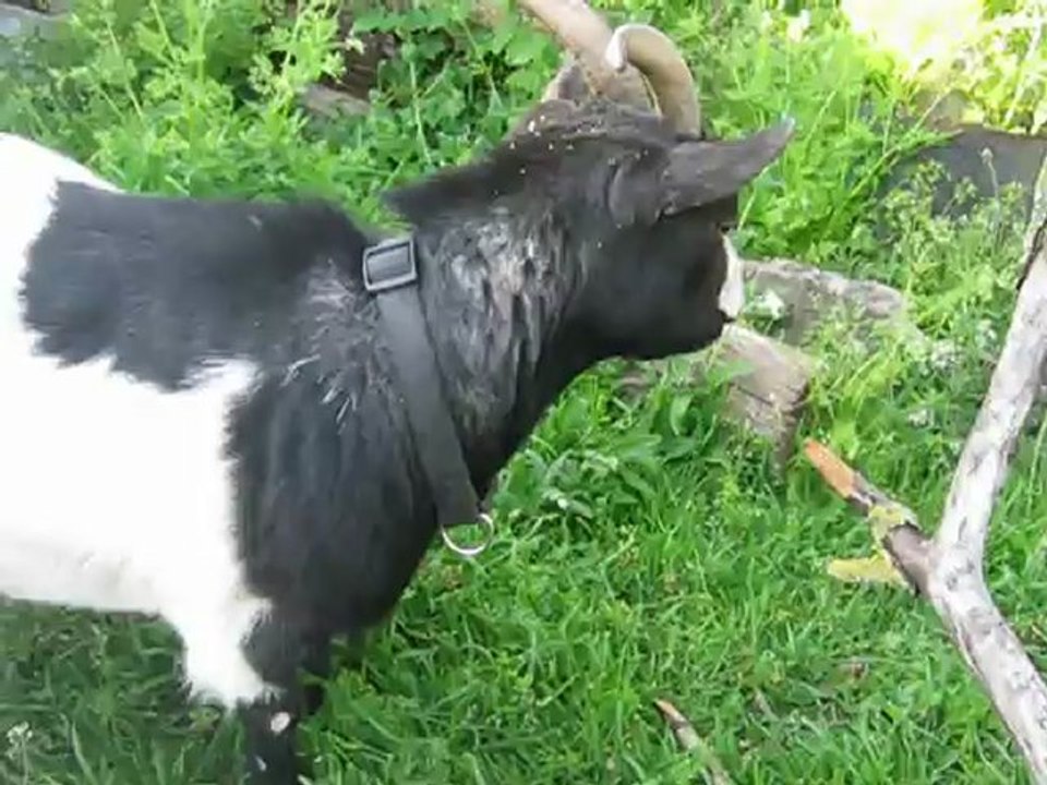 une journee ensoleillé 2