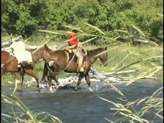 great indian wars : horses & buffalo