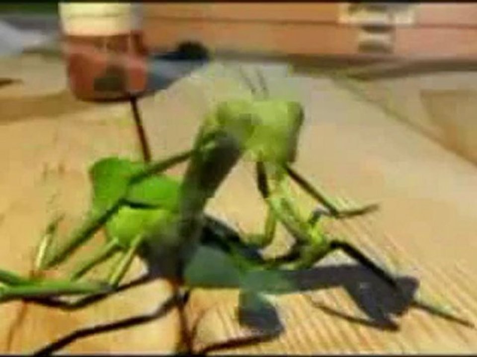 La parabole de la Mante