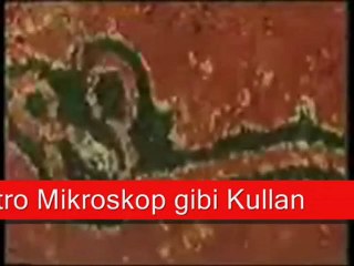 MİKROPLARI HİÇ BÖYLE GÖRMEDİNİZ