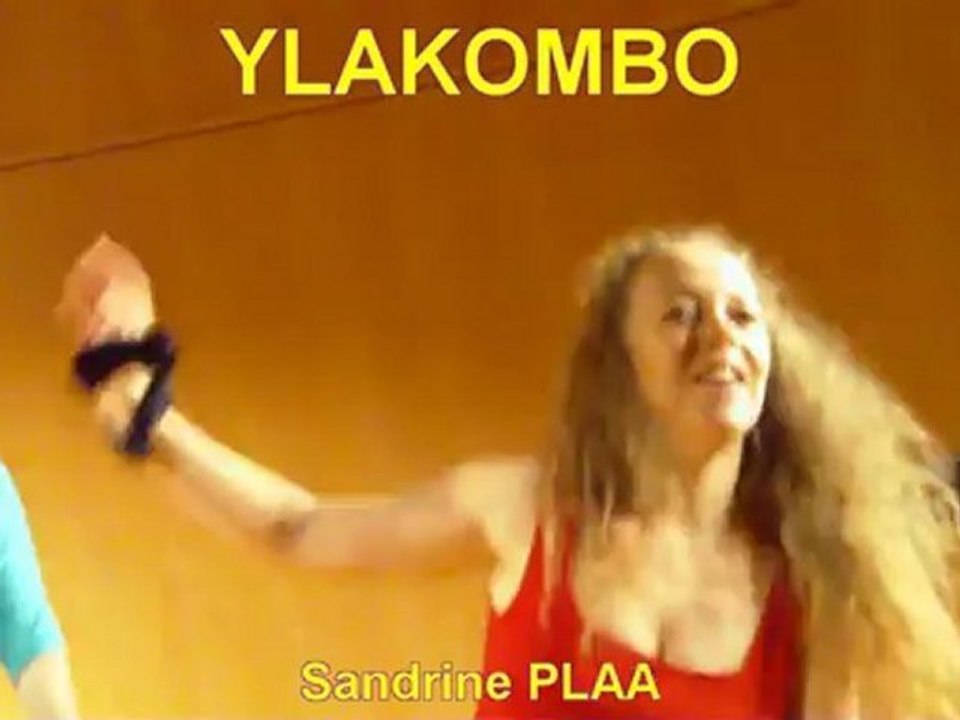 LMFAO flash mob dance [Explications chorée] [LJB]