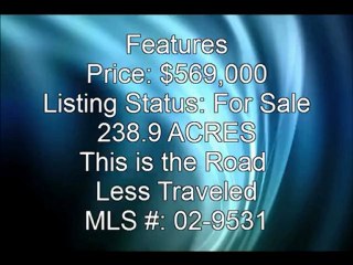 238.9 Acres - Trout Run Road, Punxsutawney, PA