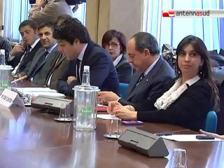 TG 15.05.12 Agricoltura, le imprese baresi incontrano l'europarlamentare De Castro