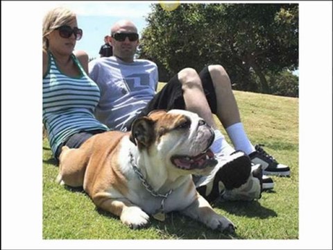 Video 1 La Fórmula Infalible de 4 Llaves para Educar a tu Perro. Como Educar un Perro