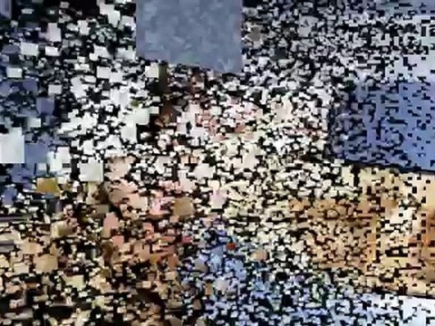 Infertility Information