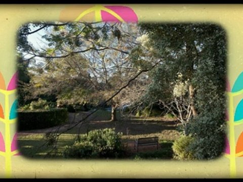 Giving you an Exciting Mildura Accommodation