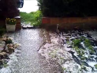 greles 16 mai 2012 , 8H30 hondschoote 2