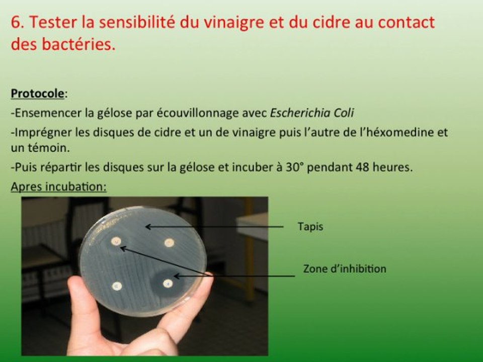 Fabrication d'un vinaigre de cidre, et analyses biotechnologiques