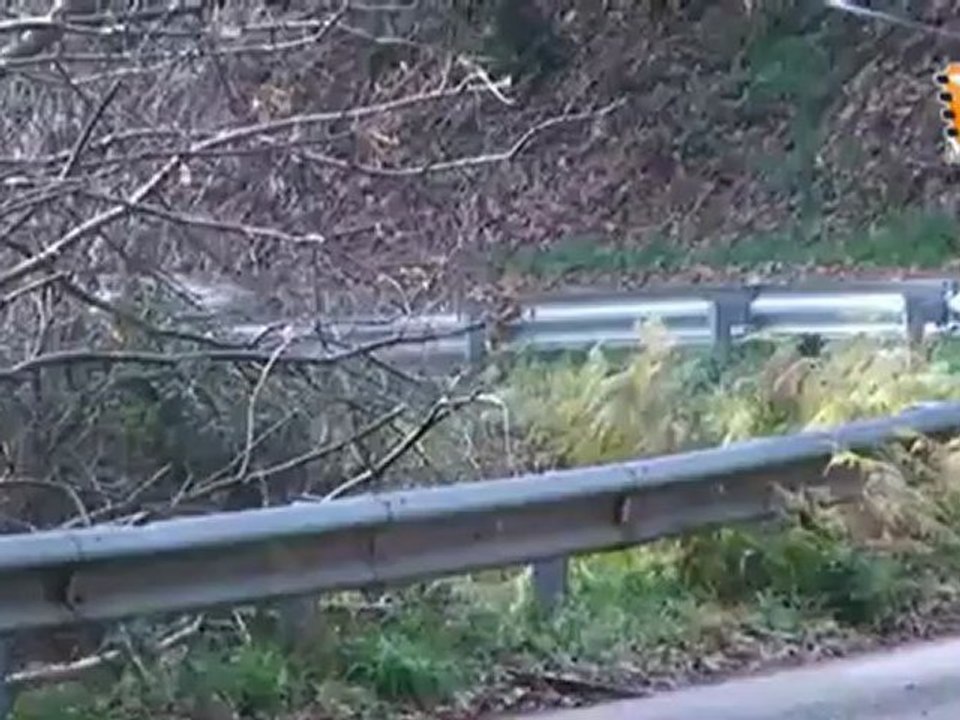 Rallye Villa de Pravia 2010, Copa El Tonel