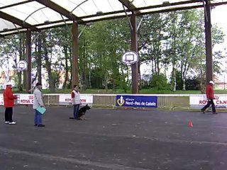 DIXIE  des Côteaux du Lys