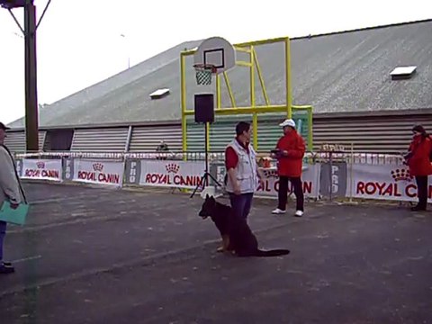 DIXIE des Côteaux du Lys