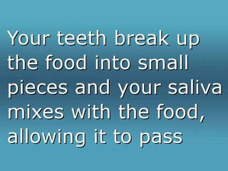 Hemorrhoid Treatment Instant Relief