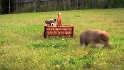 Blinds Malaga Vision Decor WA