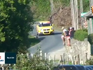 Rallye de Ferrol 2011, Copa Suzuki