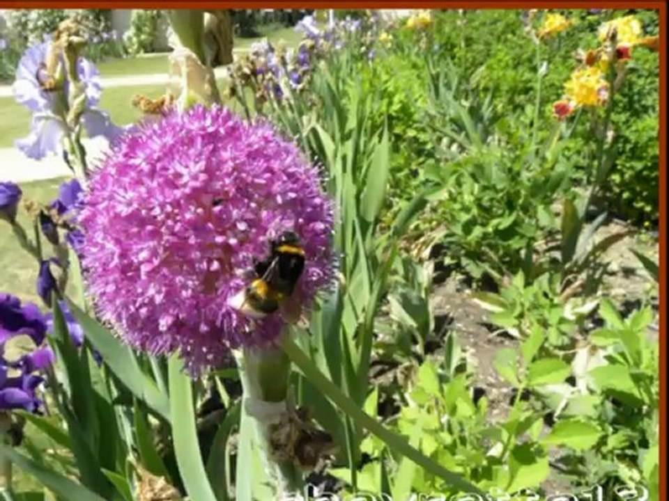 terrabotanica 4