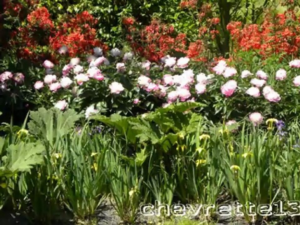 terrabotanica 3