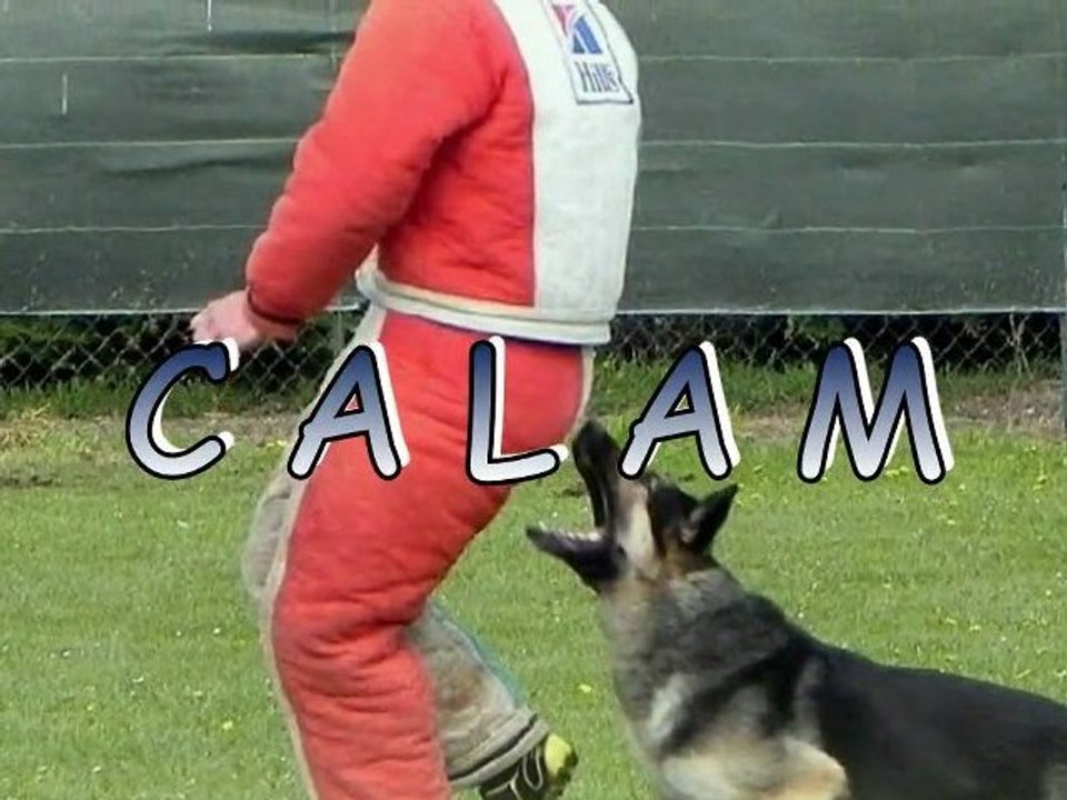 Calam à Versailles