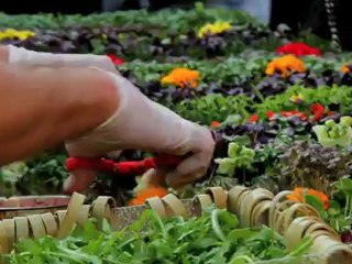 Défilé Chanel croisière 2013